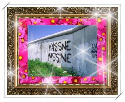 yassine